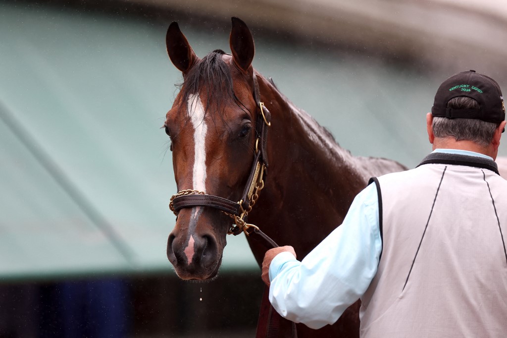 Kentucky Derby winner Mystik Dan is bathed following a training session as we look at our free Preakness Stakes picks and predictions