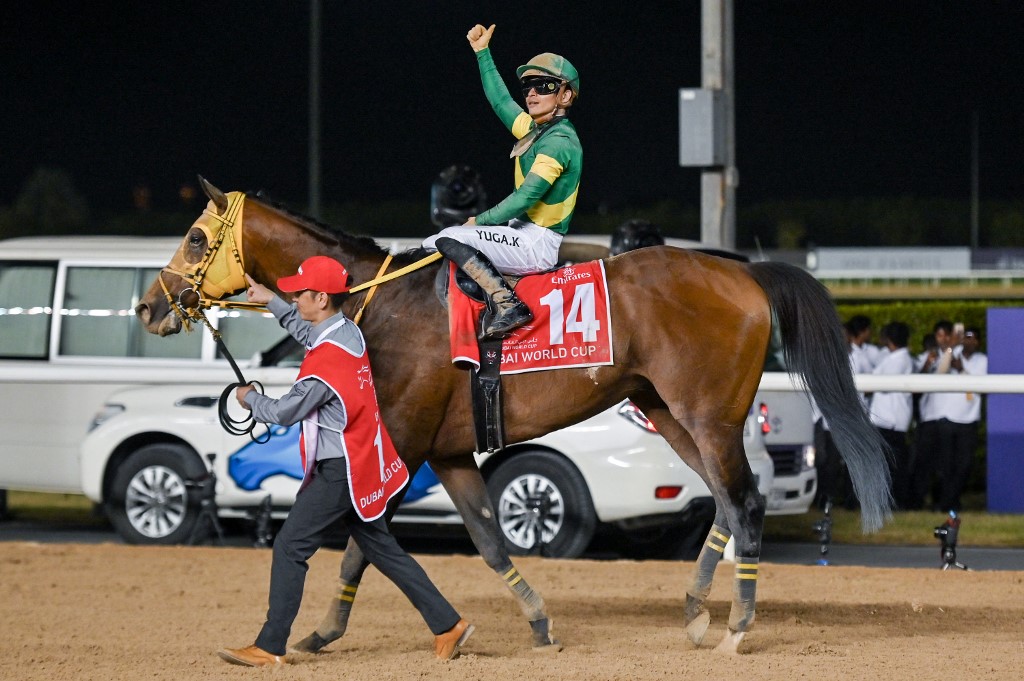 Yuga Kawada, jockey of "Ushba Tesoro", won the 2023 Dubai World Cup as we look at our free Breeders' Cup picks