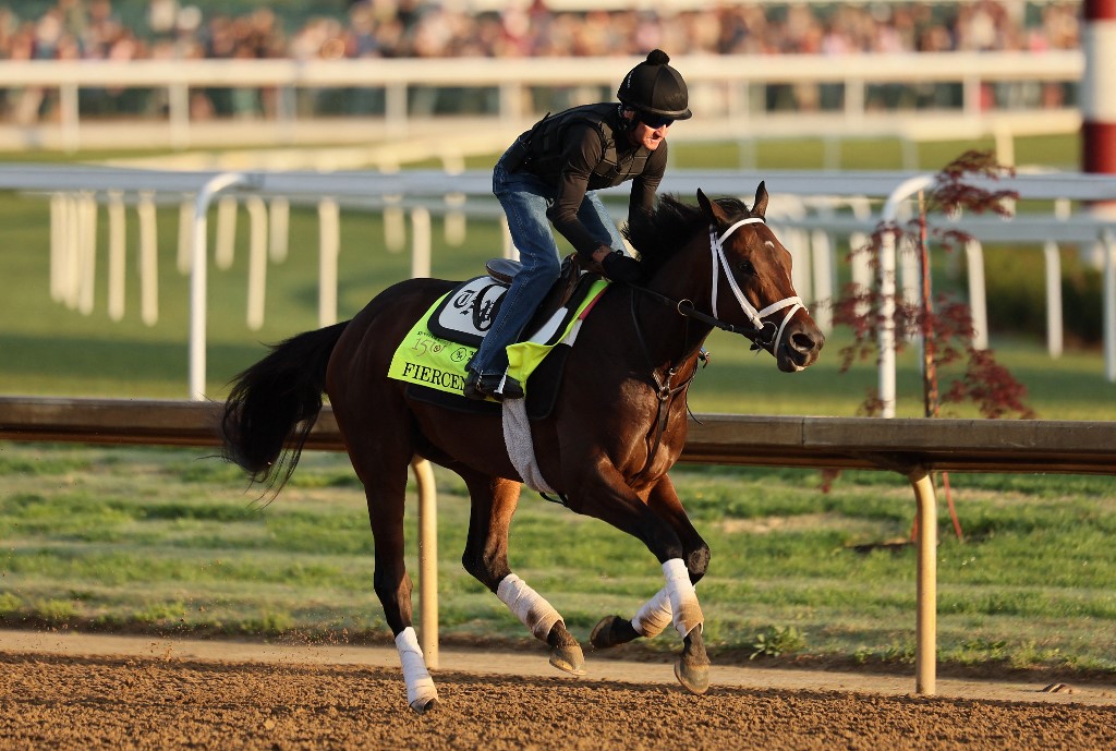 Fierceness runs on the track during the morning training as we make our top Kentucky Derby picks and predictions