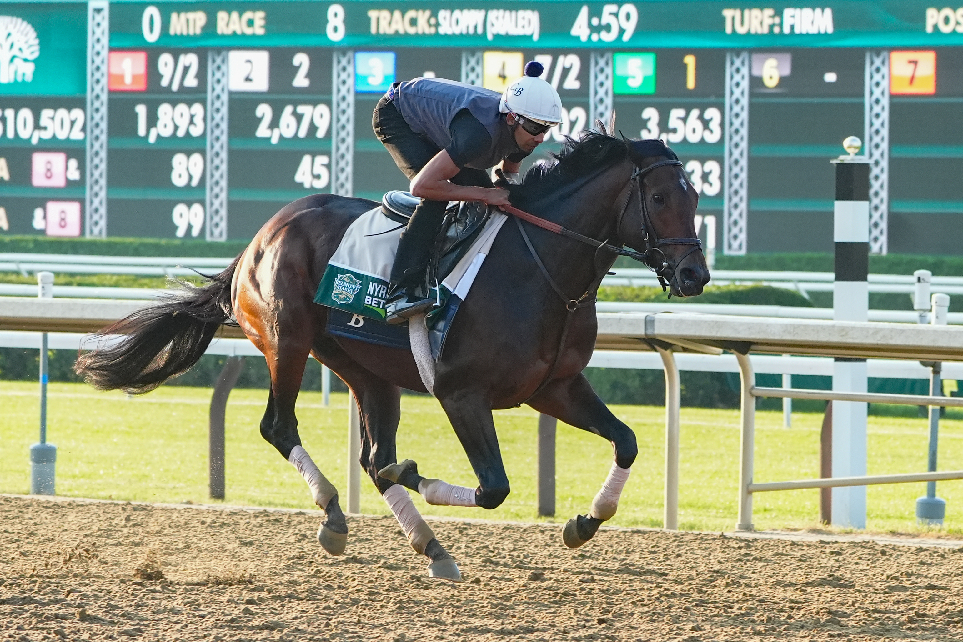 Belmont stakes contender Sierra Leone trains as we offer our FanDuel Racing Belmont Stakes promo code