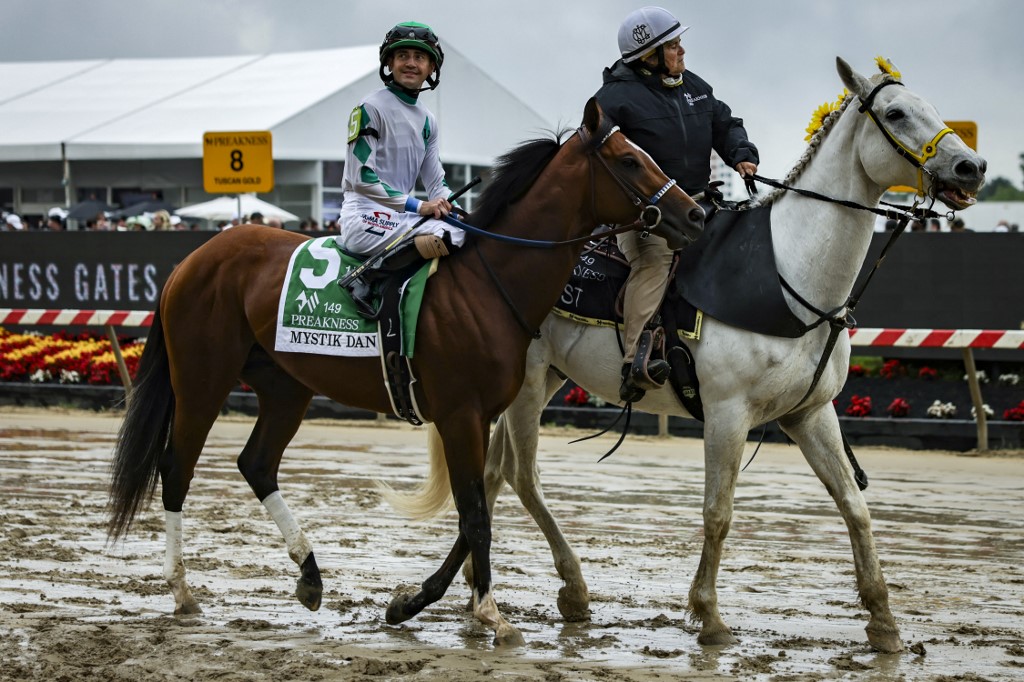 Jockey Brian Hernandez Jr. rides Mystik Dan as they are walked to the starting line ahead of the 149th running of the Preakness Stakes at Pimlico Race Course as we look at our triple crown odds.