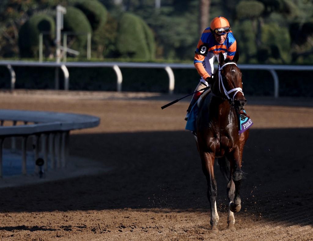 Jockey John Velazquez reacts after riding Fierceness to the winner's circle as we look at the best 2024 Kentucky Derby odds.
